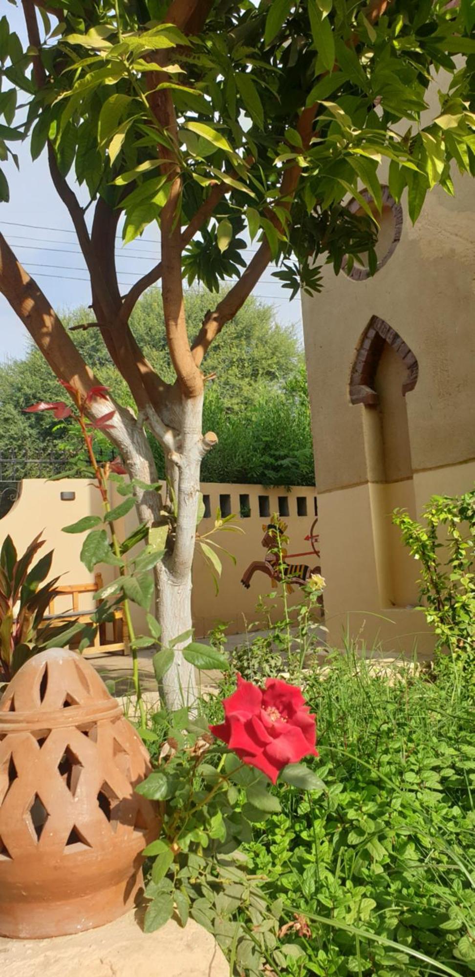 Luxor Villa Hatshepsut エクステリア 写真